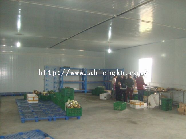 工人在冷庫內操作 工人在冷庫內操作