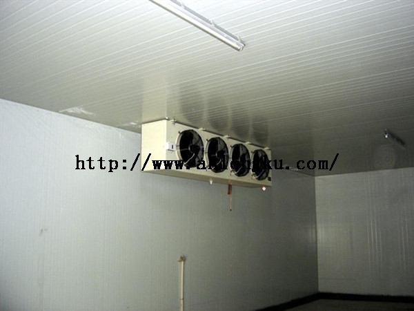 冷庫(kù)內(nèi)部角.jpg 冷庫(kù)內(nèi)部角.jpg