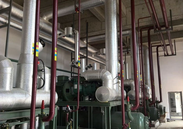 立體冷庫采用比澤爾壓縮機(jī) 22.jpg